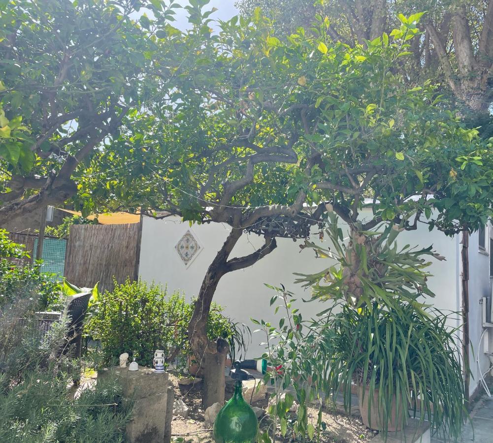 Villa Striano Boutique كابري المظهر الخارجي الصورة