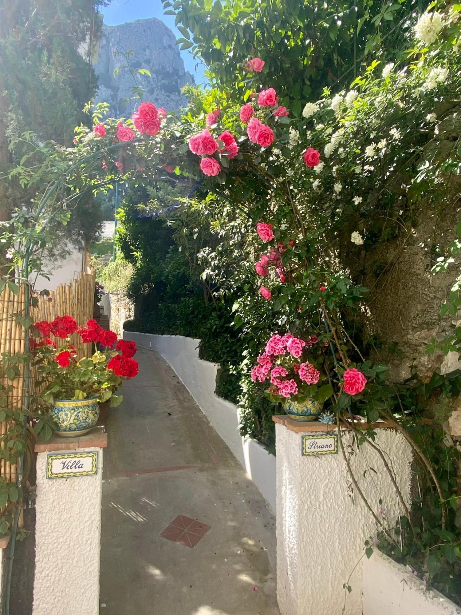 Villa Striano Boutique كابري المظهر الخارجي الصورة